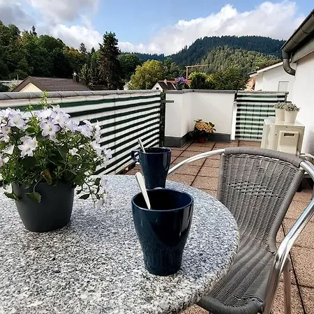 Apartment Merkurblick *